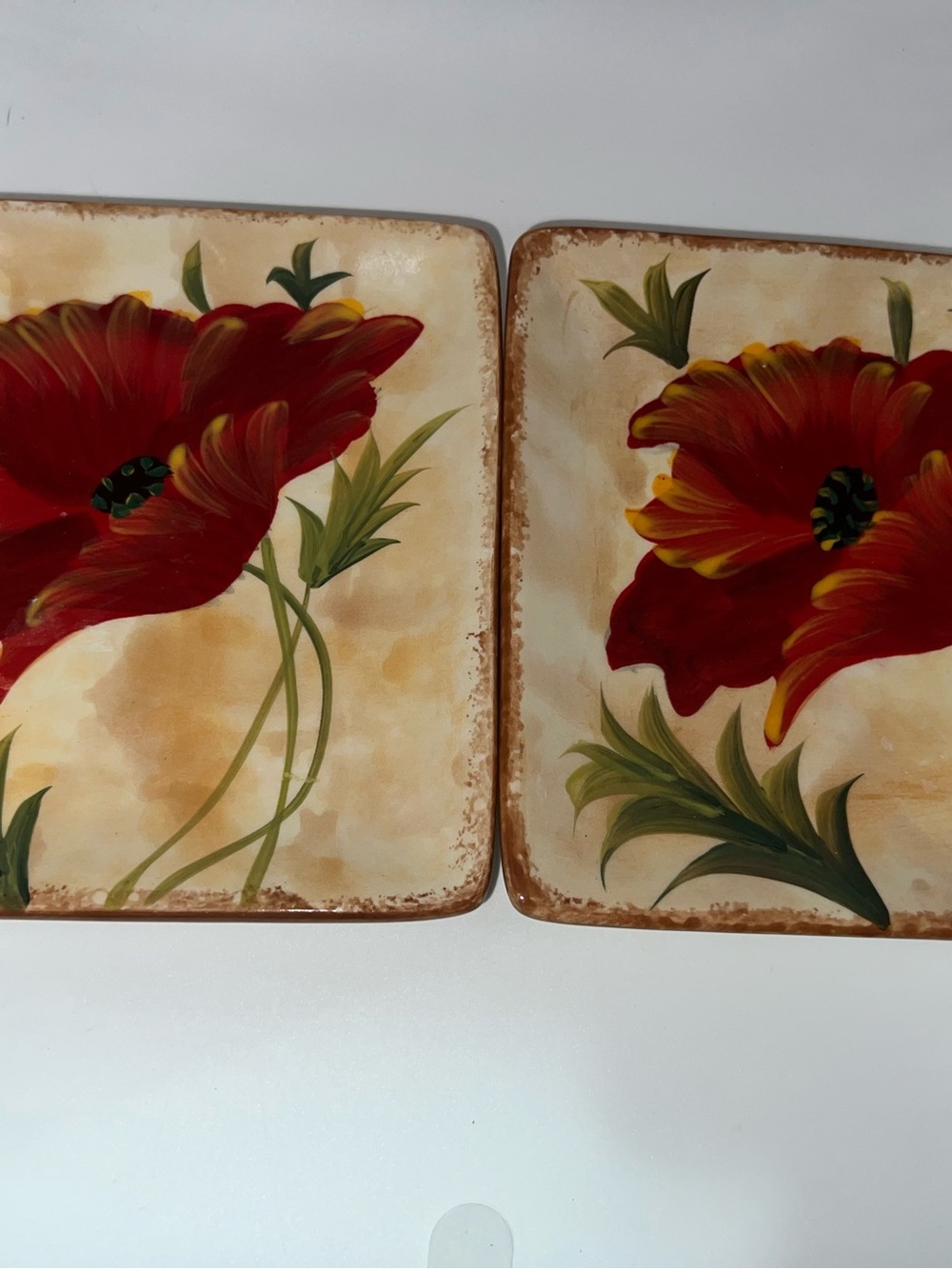 Set of 2 a hand-painted "Poppies" earthenware square plate from Pier 1 Imports